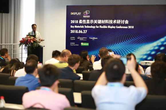 veDISPLAY CHINA 2019ͬڻ(dng)c(din)ȿ