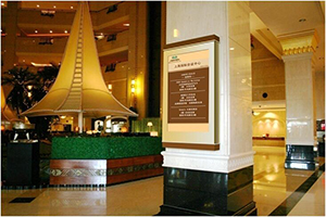 _(d)o\(lin)ƵIDS STB-4000Ϣl(f)ϵy(tng)